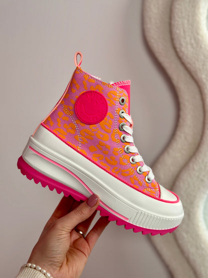 Fuchsia Smills Baskets